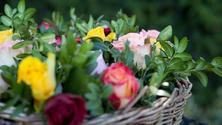 Bunte Rosen in einem geflochtenen Korb, umgeben von grünen Blättern, vor unscharfem, grünem Hintergrund.