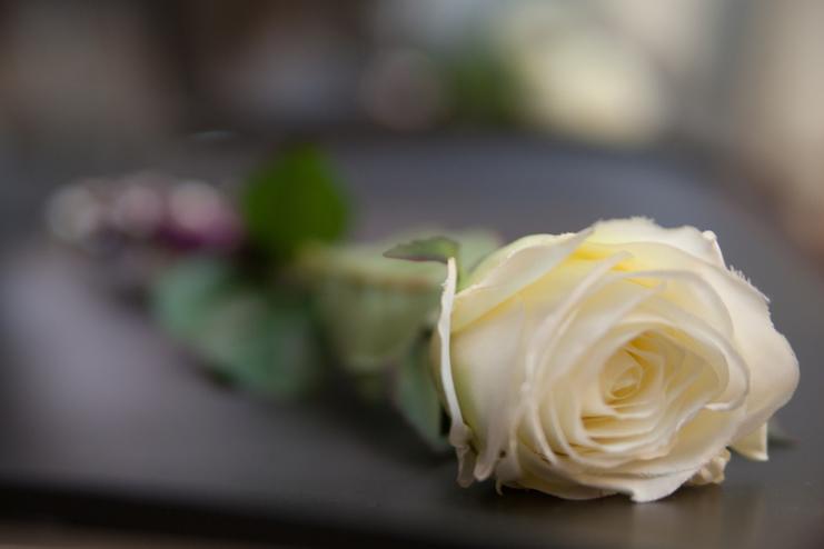 Nahaufnahme einer weißen Rose mit grünen Blättern auf einer dunklen Oberfläche.